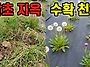 한번 심어놓으면 평생 먹을..