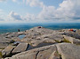 제 10차 정기 산행 & 바..