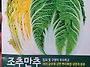 21년도 배추모종