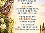 부엉이는!