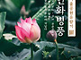 76_(蓮이야기 VIII) 연..