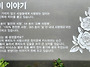 66_장미 이야기 (II)
