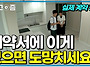 [EBS 교양] 전셋집 구하기..