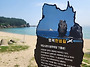 보라(Look)! 보라(pup..