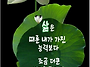 26년5월28일목요일출석부