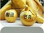 25년5월2일 황금요일 출석..