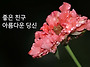 좋은 친구 아름다운 당신 ..