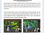 제419호 재능시사..