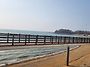 섬 섬 섬 바닷길' 차 타고..
