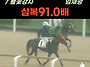 8월28일 금요경마..