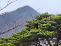 성주산513