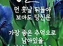 "만초손'이란