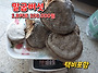 말굽/잔나비걸상/황철상황..