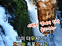 폭염 속에서도 늘 푸른 시..