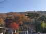 11.22 마법숲이야기