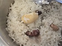 흉칙하게 큰 작두콩을 어떻..