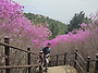 마산 무학산