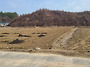 (AT-1279)충남 금산 조용..