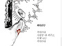 [말씀묵상] 주님 수난 성..