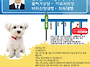질문 드립니다