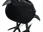 모형 까마귀