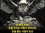 재성의 법칙