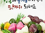 추 석
