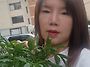 역마