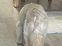 [재크] 단기임보 왔어요~