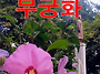 김문옥감독의 무궁화 다큐..