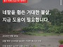 입지않는 중고 다운파카를..