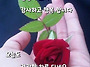 또 다른 명의 ?