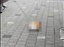대낮 오피스텔 12층서 반..