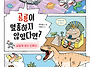 [천개의바람] 천개의지식 ..