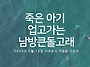 [현장 영상] 죽은..
