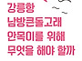 [핫핑크돌핀스 논..