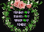 한잔 두잔 인생처럼