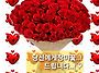 오늘은 로즈데이