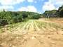 홍천군 영귀미면 후동리 ..