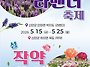 2026 퍼플섬 라벤더 축제