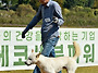 진돗개연맹 백마 대상