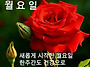 월요일 입니다