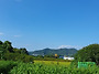 [하청면 덕곡리] 2차선도로..