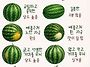 정보