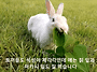 05.21 점심