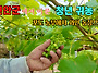 [영상] 진안군에서 이룬 ..
