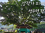 [영상] 진안군 성수면 둘..