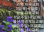9월 복음전도치유..
