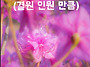 5월 5일(월)~6일..