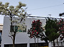 울산극동방송 게시판(3.2..